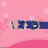 Pet Supplies Dog Collar Alloy Buckle Dog Chain Cat Necklace Size Adjustable for Small and Medium-sized Dog Collars Dog Supplies - red - 25cm