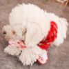 Pet Dog Toys For Small Dogs Funny Simulation Bite Resistant Squeaky Puppy Cat Toy Chew Dogs Toys Pets Products honden speelgoed - as the picture