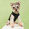 Pet Tank Top; "Security" Pattern Dog Vest Cat Clothes; For Small & Medium Dogs - Black Color - S