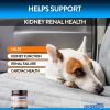 Renal Support Chews 9.5 oz jar - Renal Support: 9.5