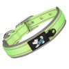 Pet dog collar; diving cloth reflective nylon collar; medium and large dog collar - Color ribbon: green - M 2.5*(38-48)CM