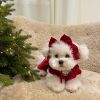 Christmas Pet Dress For Small Medium Dog; New Year Non-elastic Dog Dress ; Winter Pet Apparel - Red - XS