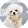 Bling Bling Retro Lace Collars Handmade Dog/Cat Necklace Neckerchief 8.2-11.2" - Default