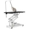 Hydraulic Dog Pet Grooming Table Heavy Duty Big Size Z-Lift Pet Grooming Table - Black White