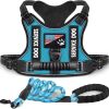 Pet Harness And Leash Set For Dog & Cat; Adjustable No Pull Service Dog Vest Harness For Walking - Lake Blue - M