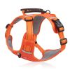 No Pull Pet Harness For Dog & Cat; Adjustable Soft Padded Large Dog Harness With Easy Control Handle - Orange - M