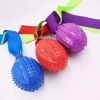 TPR Sounding Ribbon Ball Molar Bite-resistant Dog Toy Ball Training Webbing Pet Supplies - Blue