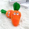 Double-bone Chicken Leg Plush Toy Vocal Connotation BB Pet Dog Cat Toy Supplies.dog chew toy - Carrot Toy