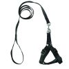 1pcs Adjustable Nylon Dog Leash and Harness Set for Small Dogs and Cats Plain Dog Chest Strap Leash Pet Leash - as the picture