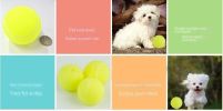 3pcs Pet dog toy tennis toy micro elastic ball dog throwing interactive dog ball training dog - green - 3pcs