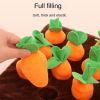 New Crystal velvet dog toys bite-resistant; sounding bite toys Amazon explosions cross-border dog toy cat toy - Plush the radish toy (each radish has