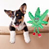 MJ the Weed Leaf 420 Dog Toy - Green